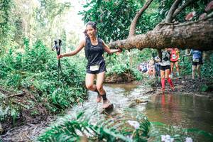 BIB: 
                            <button type="button" onclick="openModal(25516159)" class="btn btn-primary btn-sm float-right btn-popup" data-toggle="modal" data-target=".modal-high-quality">
                        <i class="fas fa-shopping-cart"></i> Add to Cart
                    </button>
                                            <button type="button" onclick="isThisMe(25516159, true)" class="btn btn-success btn-sm float-right btn-popup btn-isme hidden" data-toggle="tooltip" data-placement="bottom" title="นี่คือรูปของคุณใช่ไหม คลิกที่นี่เพื่อเอาเข้าอัลบั้ม">
                        <i class="fas fa-plus"></i> Add to album
                    </button>
                    <button type="button" onclick="isThisMe(25516159, false)" class="btn btn-warning btn-sm float-right btn-popup btn-isnotme hidden">
                        <i class="fas fa-ban"></i> Remove from album
                    </button>